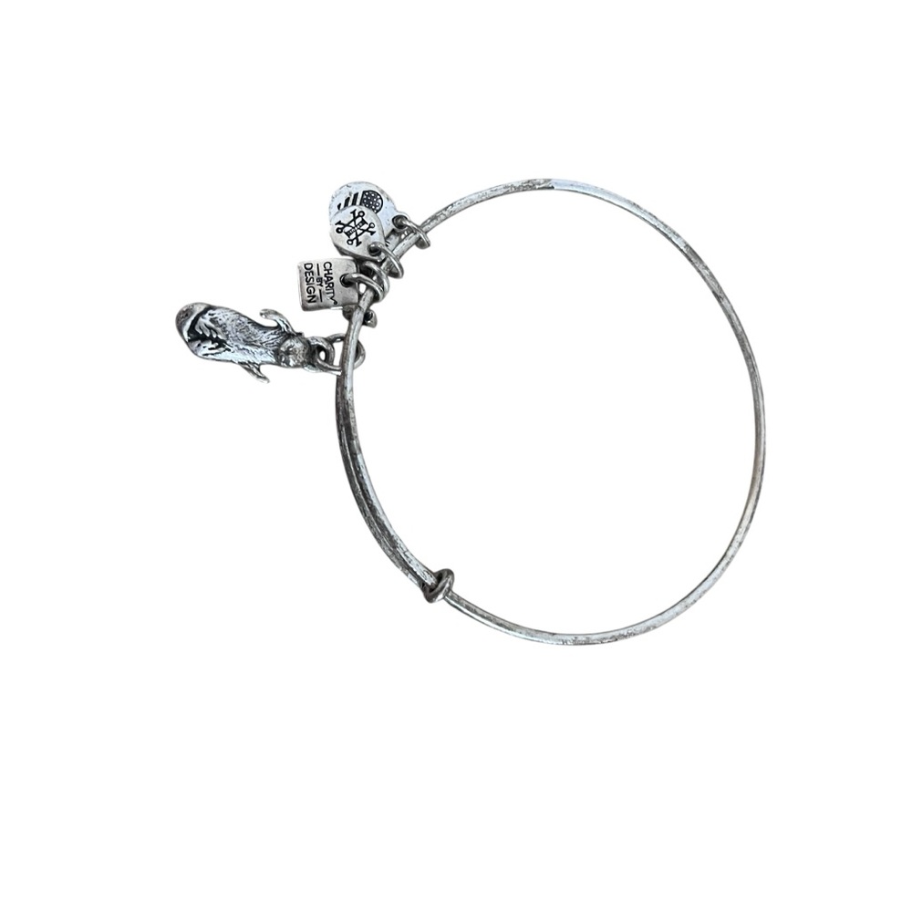 🚨 Alex & Ani Otter Bracelet
